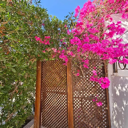 Hadaba Villa 51D